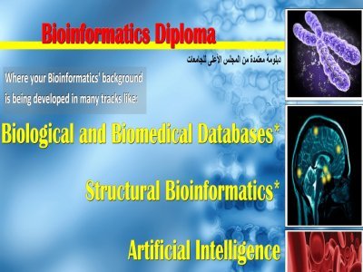 Bioinformatics Diploma   